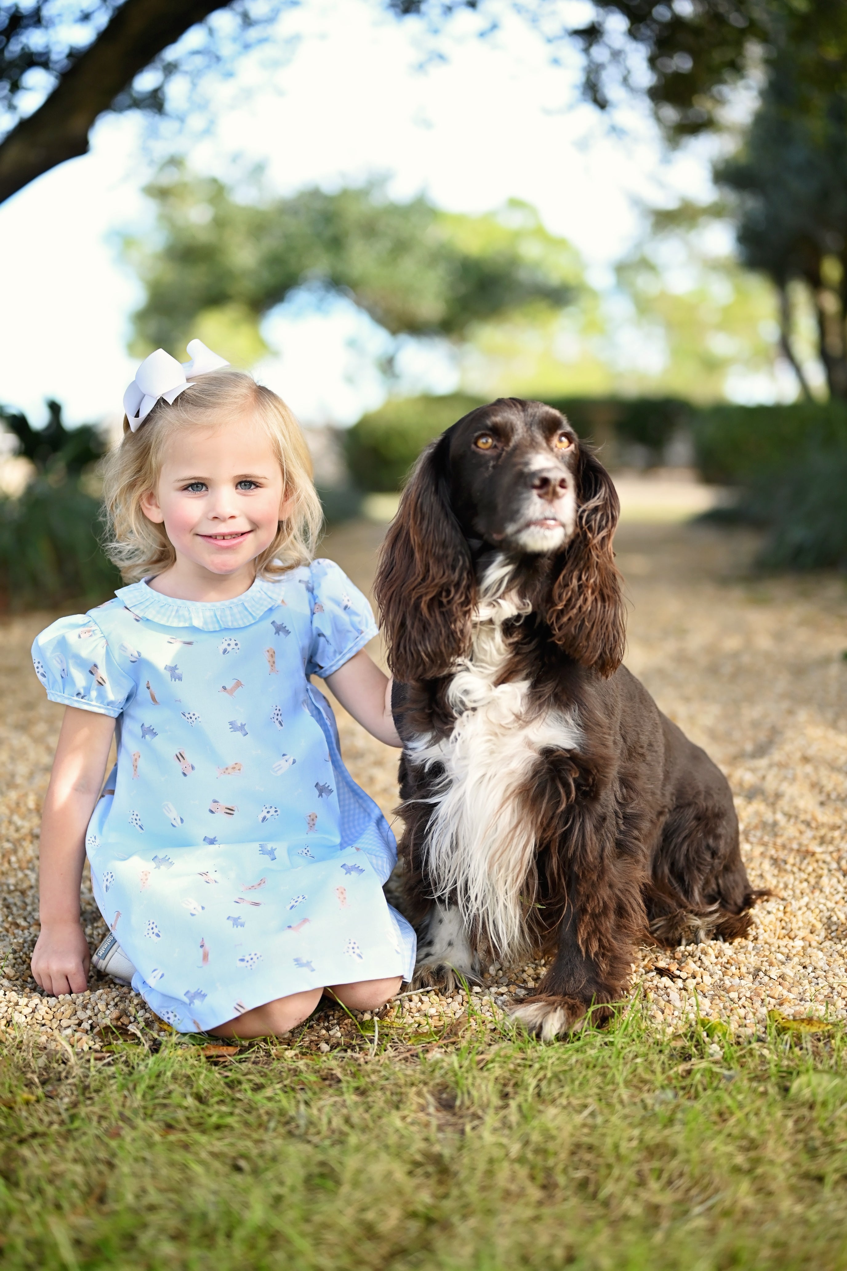 Rosie Dress - Puppy (2T,4T,6,7)