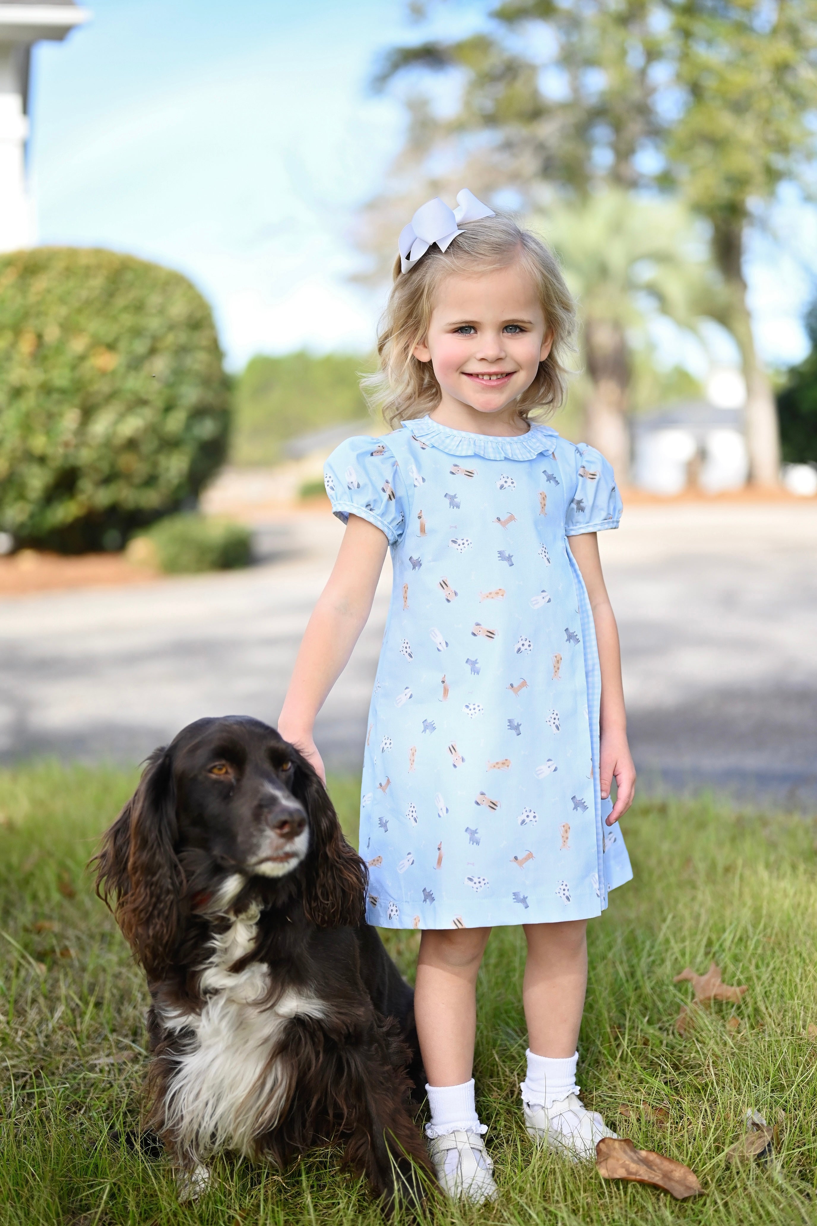 Rosie Dress - Puppy (2T,4T,6,7)