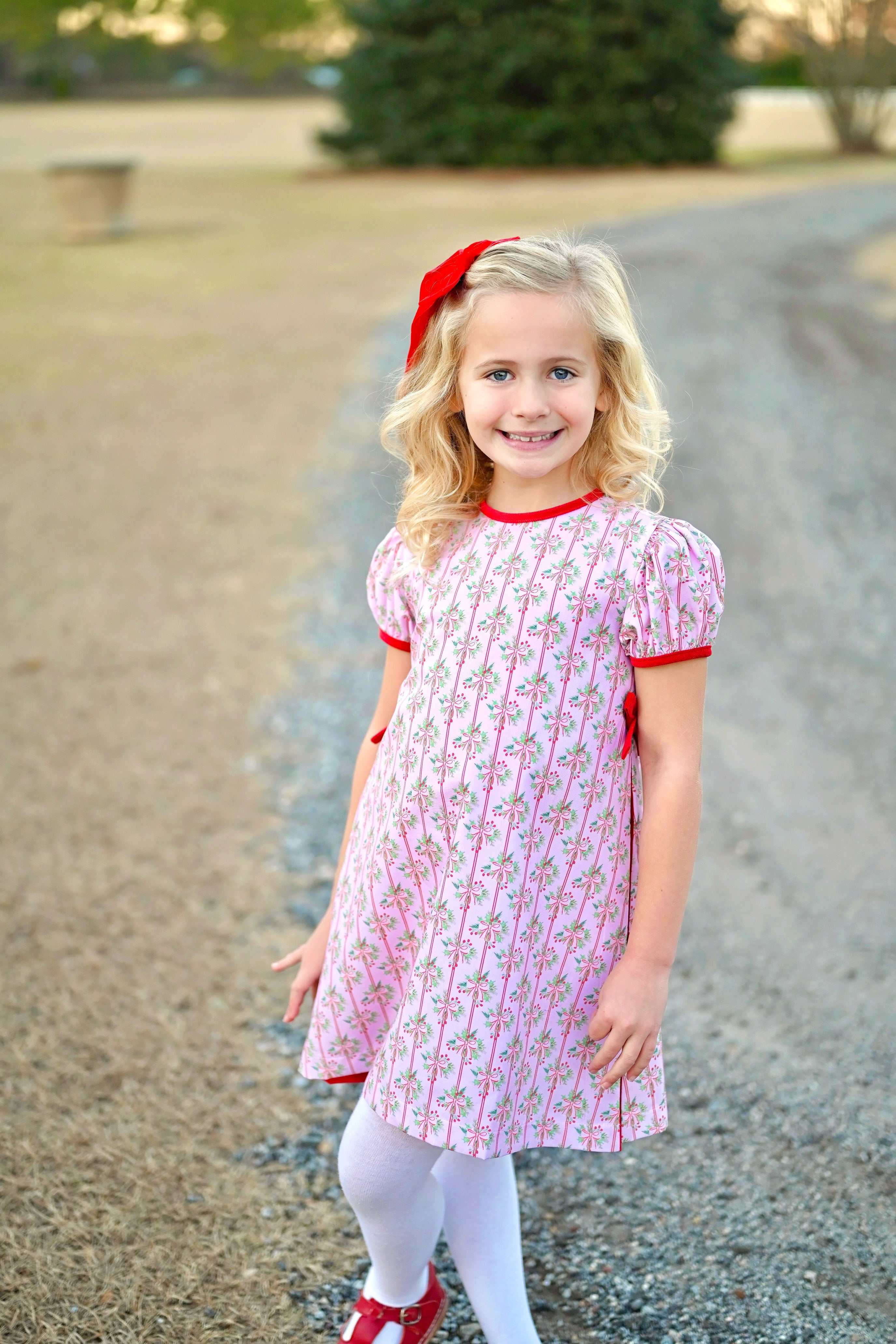 CeCe Dress - Holiday Floral (3T,4T,5,6)